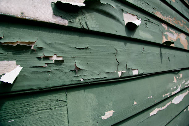  Avondale, LA Siding Installation Pros