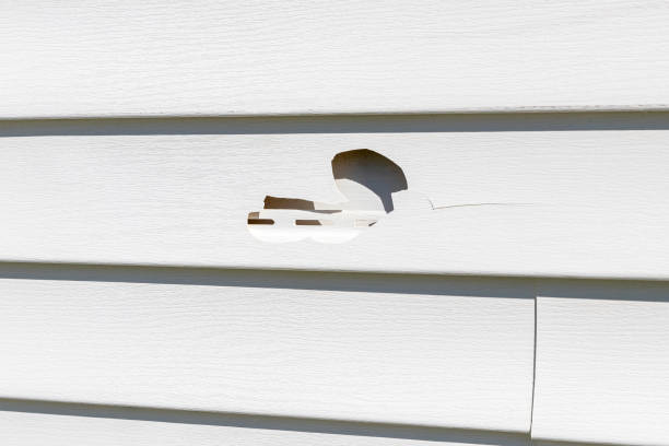 Professional Siding Installation & Repair in Avondale, LA