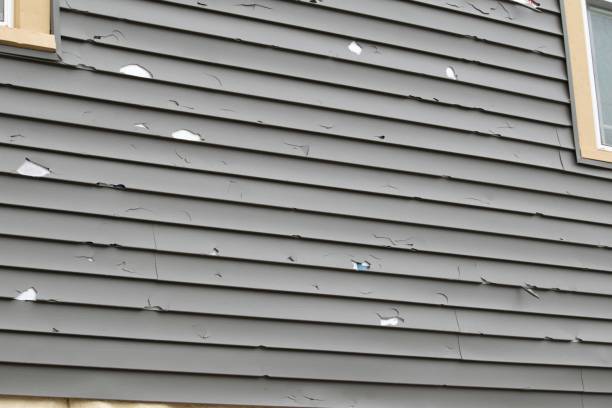 Best Aluminum Siding Installation  in Avondale, LA