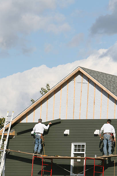 Best Siding Painting and Refinishing  in Avondale, LA